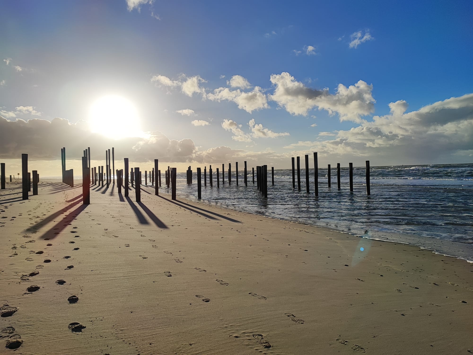 Palendorp te "Petten"