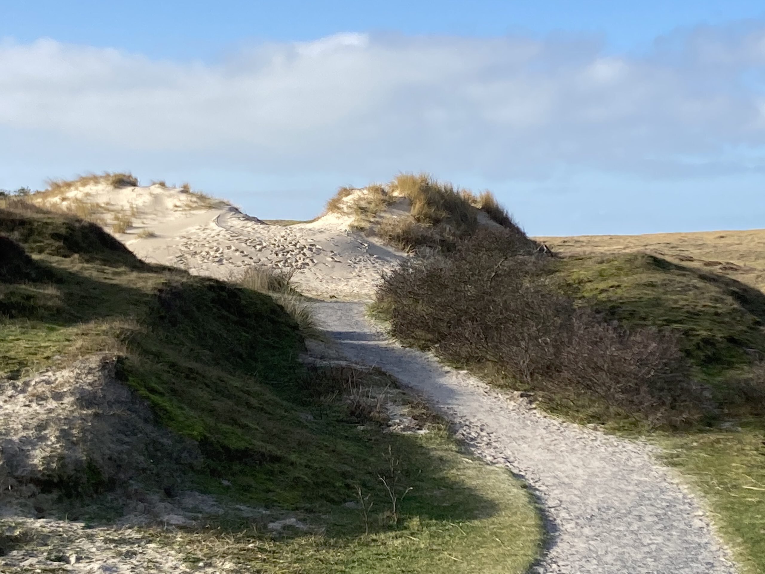 Duinen St.Maartenszee